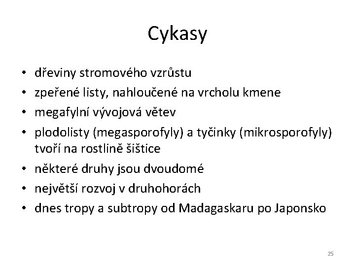 Cykasy dřeviny stromového vzrůstu zpeřené listy, nahloučené na vrcholu kmene megafylní vývojová větev plodolisty Cykasy dřeviny stromového vzrůstu zpeřené listy, nahloučené na vrcholu kmene megafylní vývojová větev plodolisty
