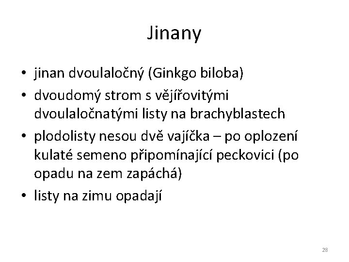 Jinany • jinan dvoulaločný (Ginkgo biloba) • dvoudomý strom s vějířovitými dvoulaločnatými listy na Jinany • jinan dvoulaločný (Ginkgo biloba) • dvoudomý strom s vějířovitými dvoulaločnatými listy na