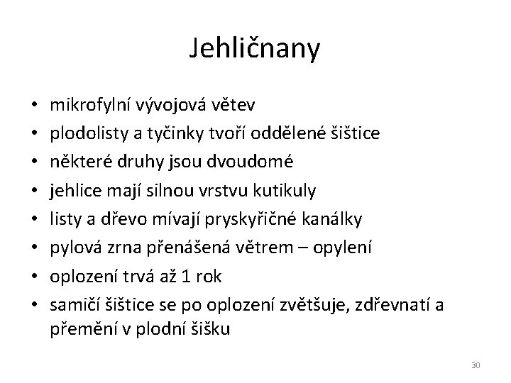 Jehličnany • • mikrofylní vývojová větev plodolisty a tyčinky tvoří oddělené šištice některé druhy Jehličnany • • mikrofylní vývojová větev plodolisty a tyčinky tvoří oddělené šištice některé druhy