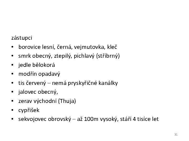 zástupci • borovice lesní, černá, vejmutovka, kleč • smrk obecný, ztepilý, pichlavý (stříbrný) • zástupci • borovice lesní, černá, vejmutovka, kleč • smrk obecný, ztepilý, pichlavý (stříbrný) •