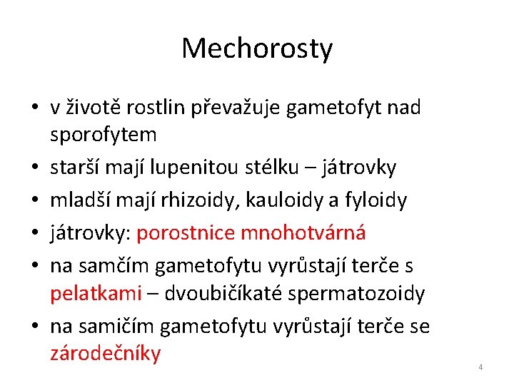 Mechorosty • v životě rostlin převažuje gametofyt nad sporofytem • starší mají lupenitou stélku Mechorosty • v životě rostlin převažuje gametofyt nad sporofytem • starší mají lupenitou stélku