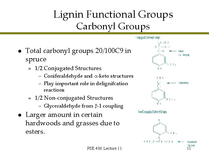 Lignin Functional Groups Carbonyl Groups l Total carbonyl groups 20/100 C 9 in spruce Lignin Functional Groups Carbonyl Groups l Total carbonyl groups 20/100 C 9 in spruce