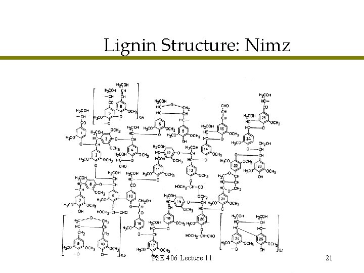 Lignin Structure: Nimz PSE 406 Lecture 11 21 Lignin Structure: Nimz PSE 406 Lecture 11 21