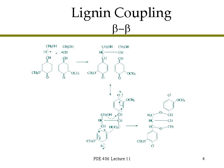 Lignin Coupling - PSE 406 Lecture 11 4 Lignin Coupling - PSE 406 Lecture 11 4