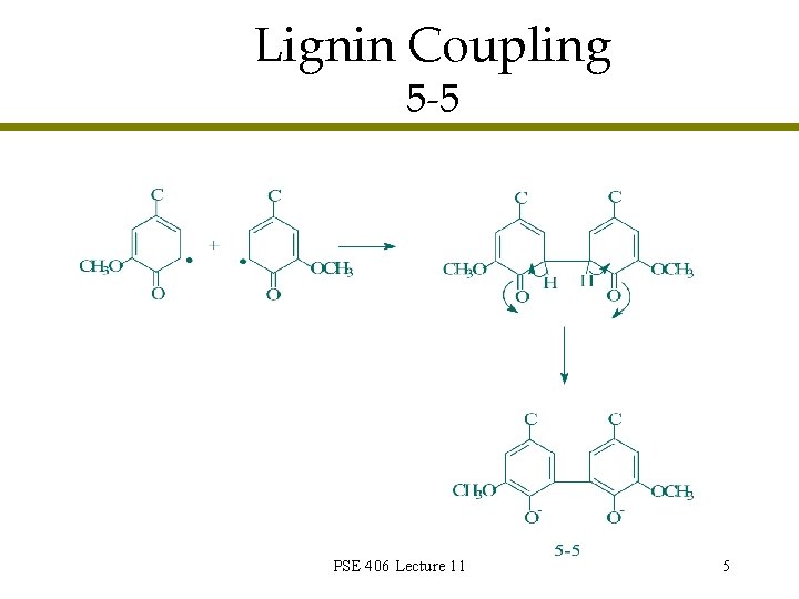 Lignin Coupling 5 -5 PSE 406 Lecture 11 5 Lignin Coupling 5 -5 PSE 406 Lecture 11 5
