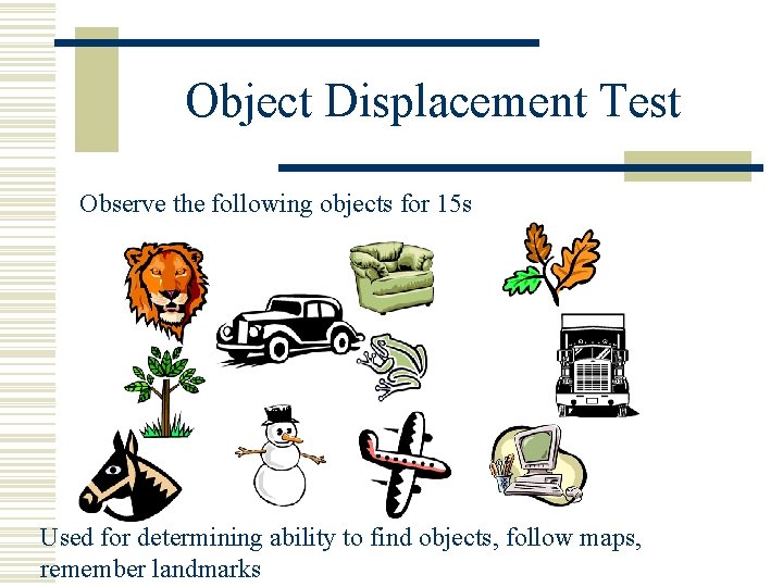 Object Displacement Test Observe the following objects for 15 s Used for determining ability