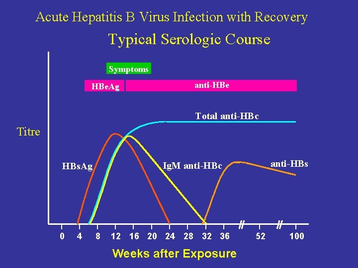 Acute Hepatitis B Virus Infection with Recovery Typical Serologic Course Symptoms HBe. Ag anti-HBe