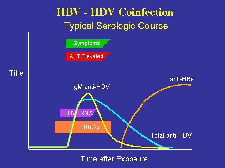 HBV - HDV Coinfection Typical Serologic Course Symptoms ALT Elevated Titre anti-HBs Ig. M