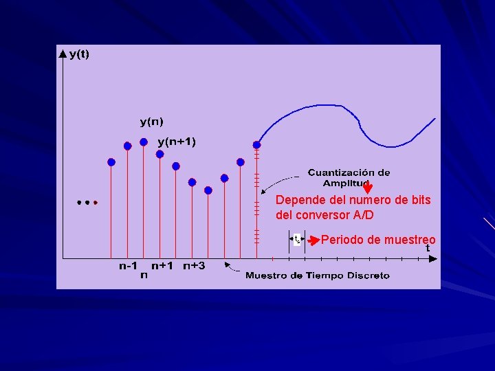 Depende del numero de bits del conversor A/D Periodo de muestreo 