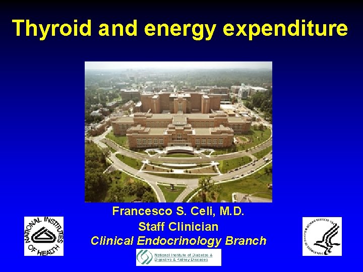 Thyroid and energy expenditure Francesco S. Celi, M. D. Staff Clinician Clinical Endocrinology Branch