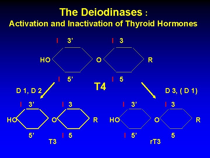 The Deiodinases : Activation and Inactivation of Thyroid Hormones I 3’ HO O I