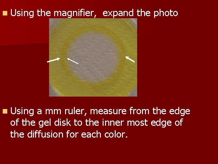 n Using the magnifier, expand the photo a mm ruler, measure from the edge
