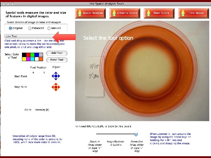 Select line tool option 