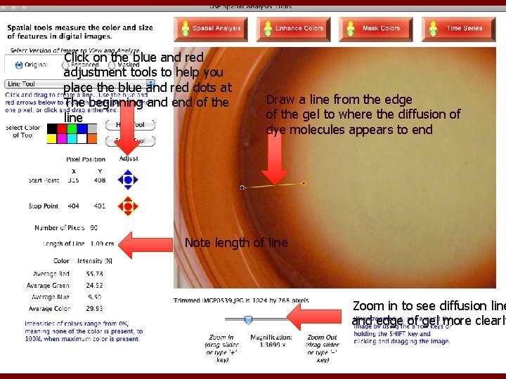 Click on the blue and red adjustment tools to help you place the blue
