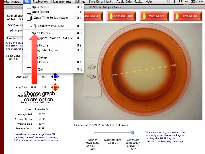 Choose graph colors option 