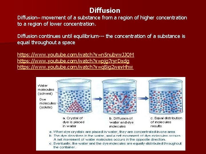 Diffusion– movement of a substance from a region of higher concentration to a region