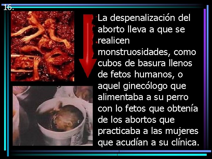 16. § La despenalización del aborto lleva a que se realicen monstruosidades, como cubos