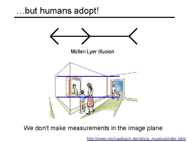 …but humans adopt! Müller-Lyer Illusion We don’t make measurements in the image plane http: