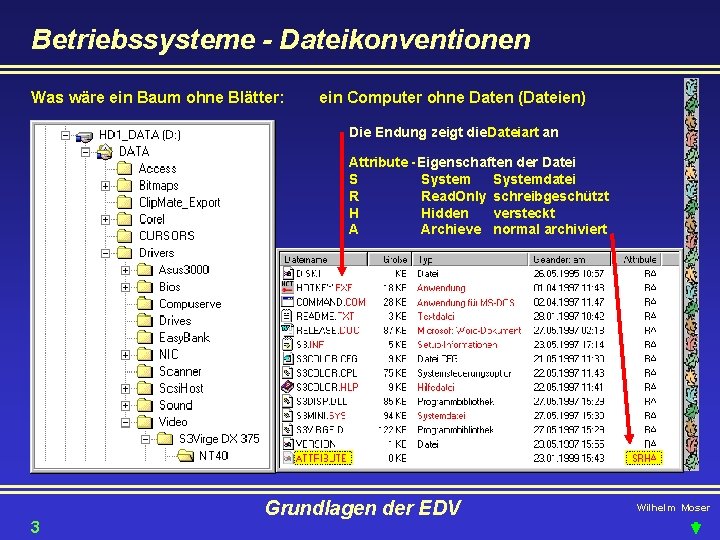 Betriebssysteme - Dateikonventionen Was wäre ein Baum ohne Blätter: ein Computer ohne Daten (Dateien)