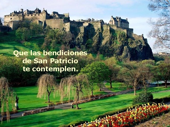 Que las bendiciones de San Patricio te contemplen. 