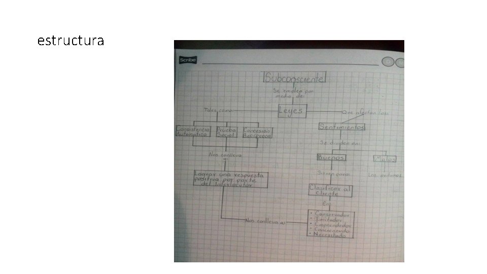 estructura 