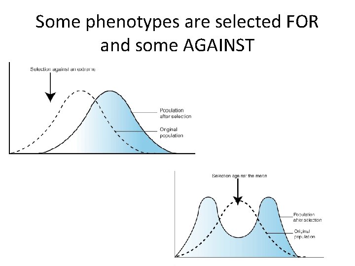 Some phenotypes are selected FOR and some AGAINST 