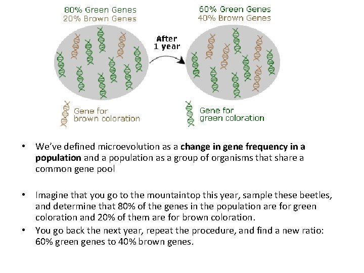  • We’ve defined microevolution as a change in gene frequency in a population