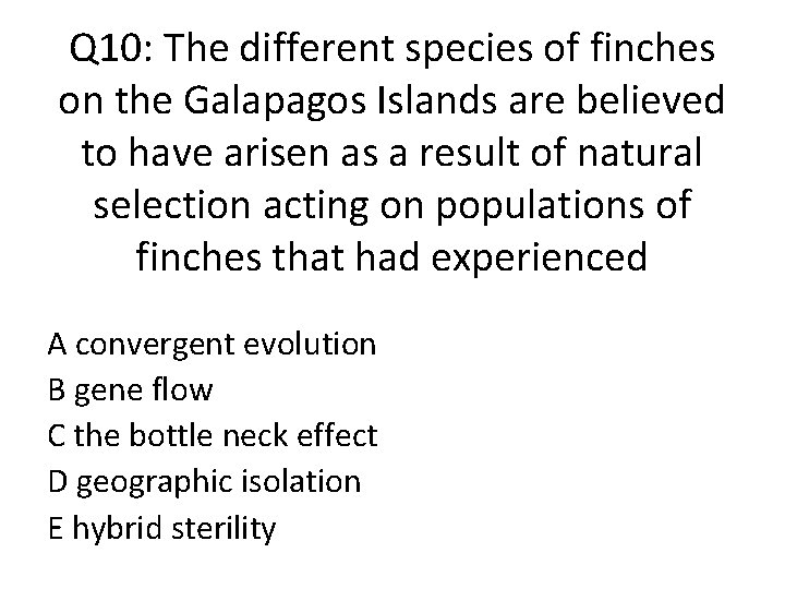 Q 10: The different species of finches on the Galapagos Islands are believed to