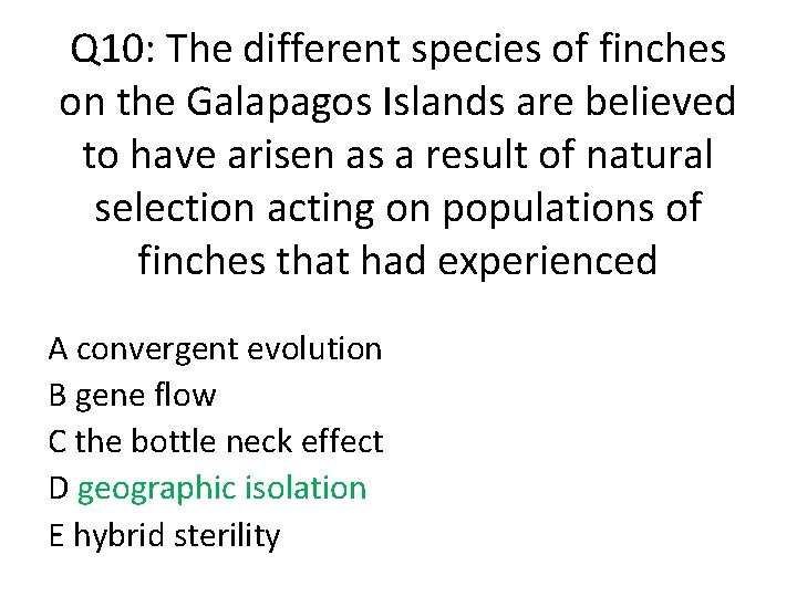 Q 10: The different species of finches on the Galapagos Islands are believed to