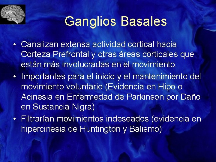 Ganglios Basales • Canalizan extensa actividad cortical hacia Corteza Prefrontal y otras áreas corticales