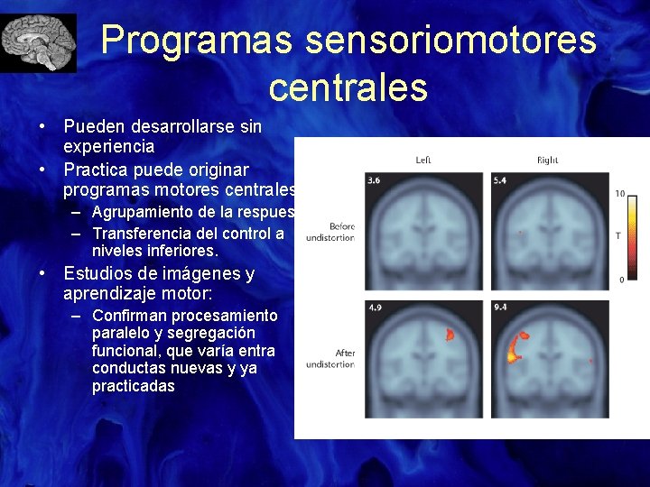 Programas sensoriomotores centrales • Pueden desarrollarse sin experiencia • Practica puede originar programas motores