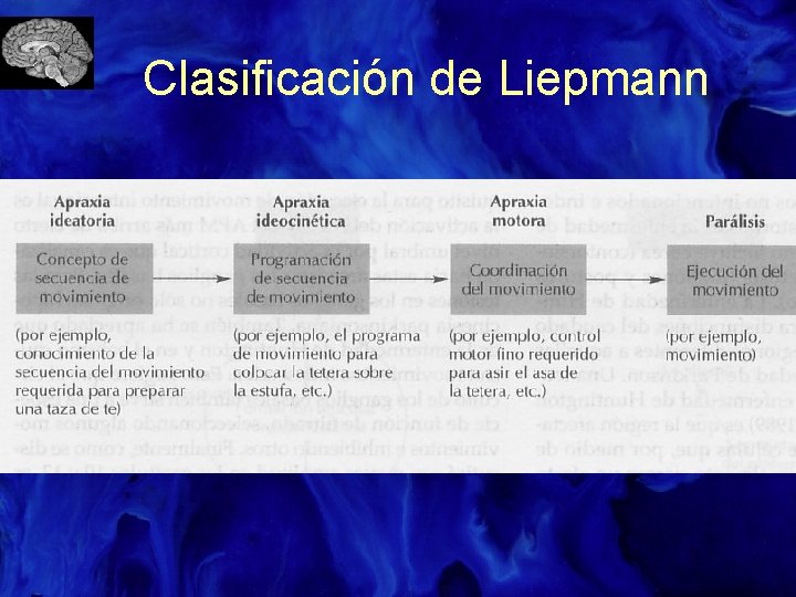 Clasificación de Liepmann 