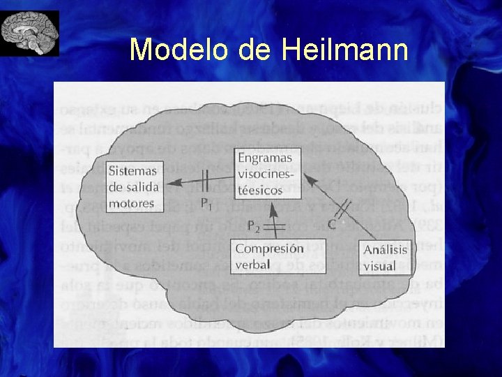Modelo de Heilmann 