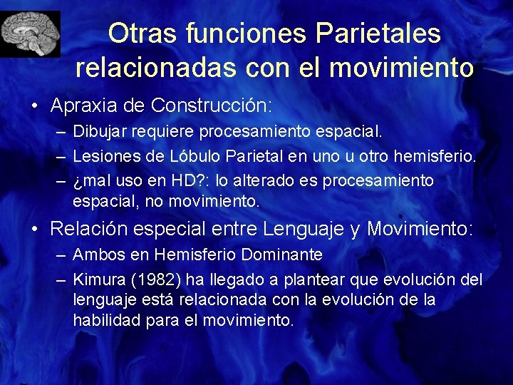 Otras funciones Parietales relacionadas con el movimiento • Apraxia de Construcción: – Dibujar requiere