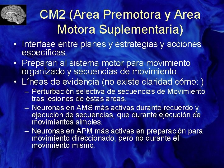 CM 2 (Area Premotora y Area Motora Suplementaria) • Interfase entre planes y estrategias