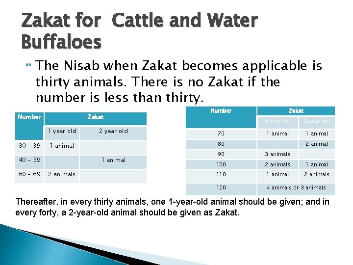 Zakat for Cattle and Water Buffaloes The Nisab when Zakat becomes applicable is thirty