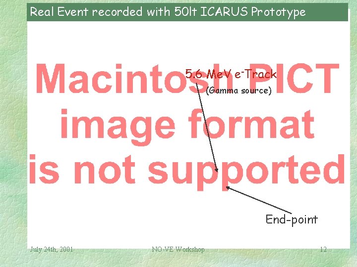 Real Event recorded with 50 lt ICARUS Prototype 5. 6 Me. V e-Track (Gamma