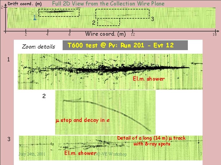 2 Full 2 D View from the Collection Wire Plane Drift coord. (m) 1