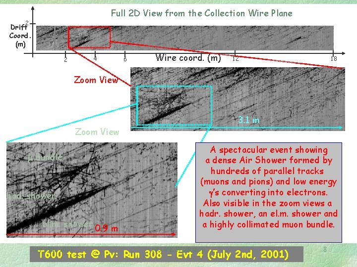 Full 2 D View from the Collection Wire Plane 2 Drift Coord. (m) 4