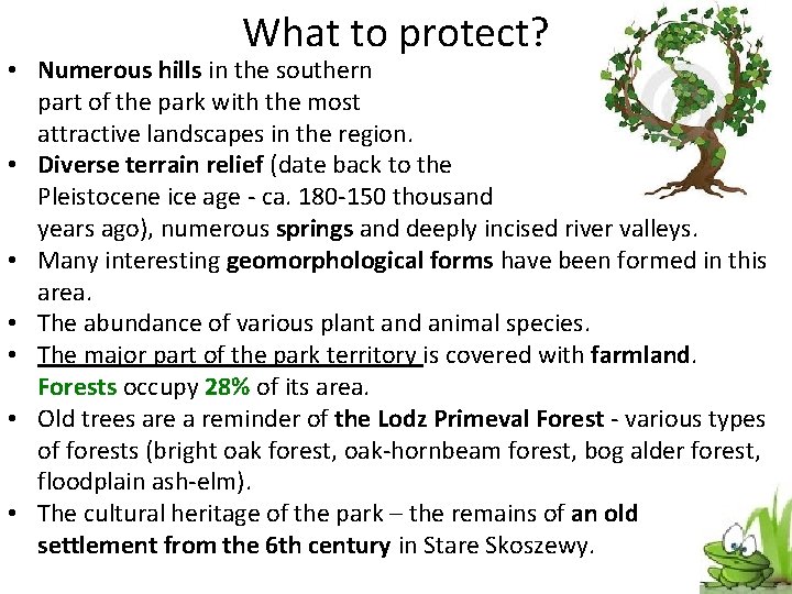 What to protect? • Numerous hills in the southern part of the park with