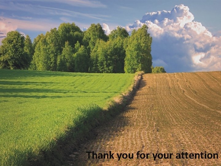 Thank you for your attention 