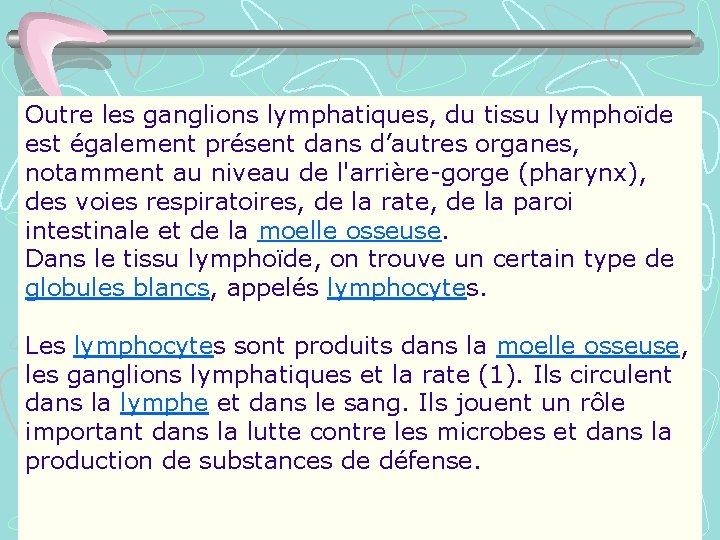 Outre les ganglions lymphatiques, du tissu lymphoïde est également présent dans d’autres organes, notamment