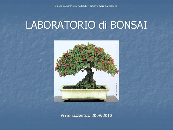 Istituto Comprensivo “G. Rodari” di Santa Giustina (Belluno) LABORATORIO di BONSAI Anno scolastico 2009/2010