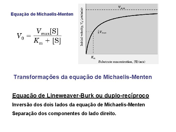Equação de Michaelis-Menten Transformações da equação de Michaelis-Menten Equação de Lineweaver-Burk ou duplo-recíproco Inversão Equação de Michaelis-Menten Transformações da equação de Michaelis-Menten Equação de Lineweaver-Burk ou duplo-recíproco Inversão