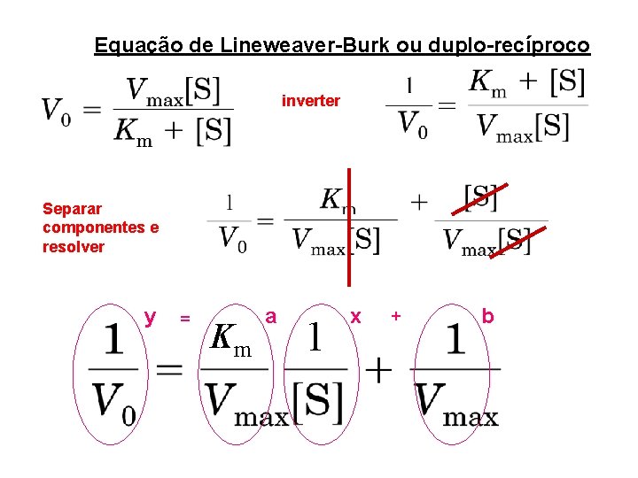 Equação de Lineweaver-Burk ou duplo-recíproco inverter Separar componentes e resolver y = Km a Equação de Lineweaver-Burk ou duplo-recíproco inverter Separar componentes e resolver y = Km a