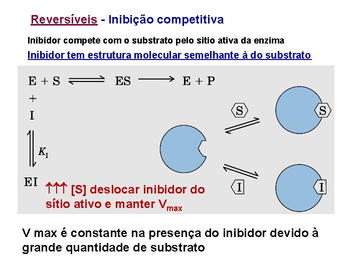 Reversíveis - Inibição competitiva Inibidor compete com o substrato pelo sitio ativa da enzima Reversíveis - Inibição competitiva Inibidor compete com o substrato pelo sitio ativa da enzima