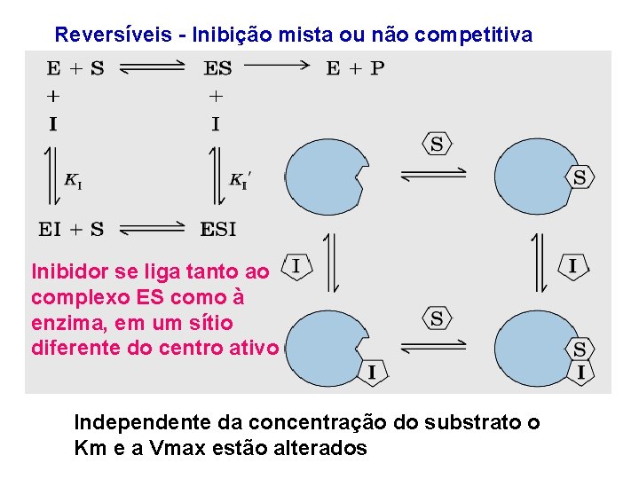 Reversíveis - Inibição mista ou não competitiva Inibidor se liga tanto ao complexo ES Reversíveis - Inibição mista ou não competitiva Inibidor se liga tanto ao complexo ES