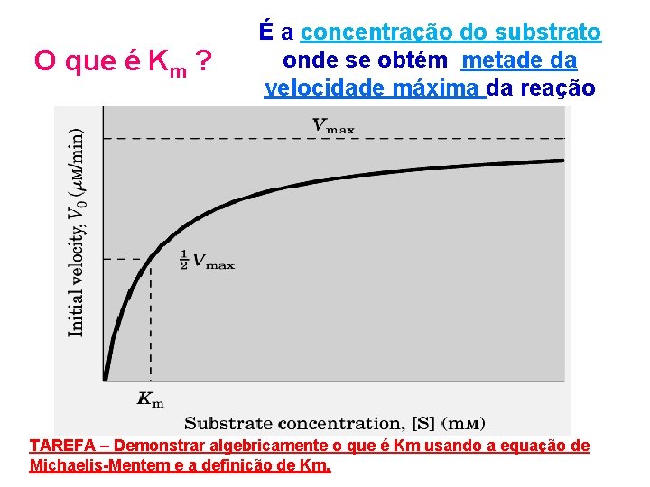O que é Km ? É a concentração do substrato onde se obtém metade O que é Km ? É a concentração do substrato onde se obtém metade
