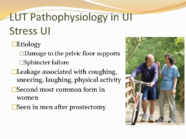 LUT Pathophysiology in UI Stress UI �Etiology �Damage to the pelvic floor supports �Sphincter