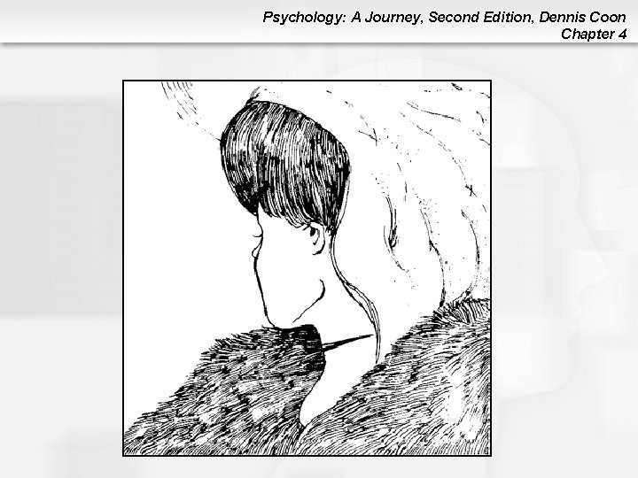 Psychology: A Journey, Second Edition, Dennis Coon Chapter 4 Psychology: A Journey, Second Edition, Dennis Coon Chapter 4